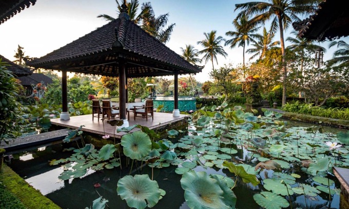 Tabanan Bed & Breakfast | 60 m² Bed and breakfast ∙ 20 guests