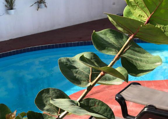 Bavaro Apartment | Barlovento