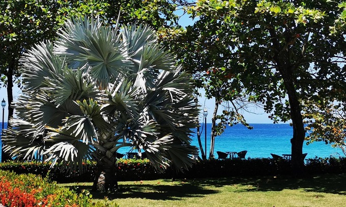 El Batey Condo | Breathtaking Beachfront Ocean View Deluxe Condo. Free weekly maid service.