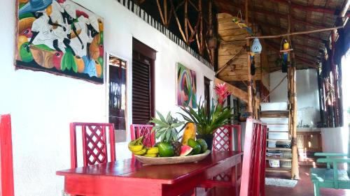 Las Galeras Hostel | Hostel La Ballena Backpacker