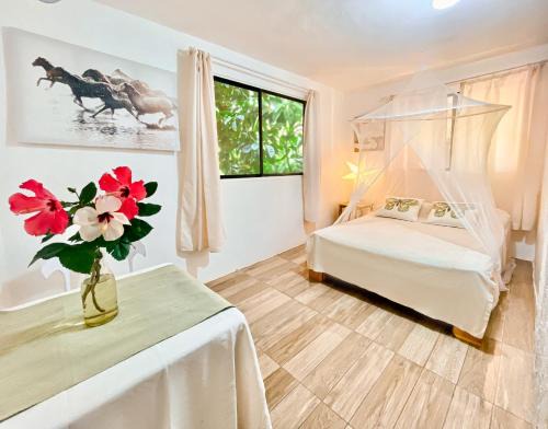 Las Galeras Hostel | La Hacienda Hostel