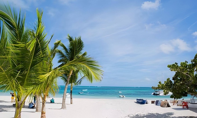 Playa Bibijagua Apartment | Paradise just a 3-minute walk away