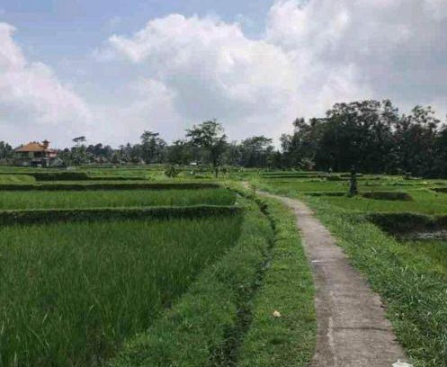 Sambahan Apartment | The Rana Villa Apartement I