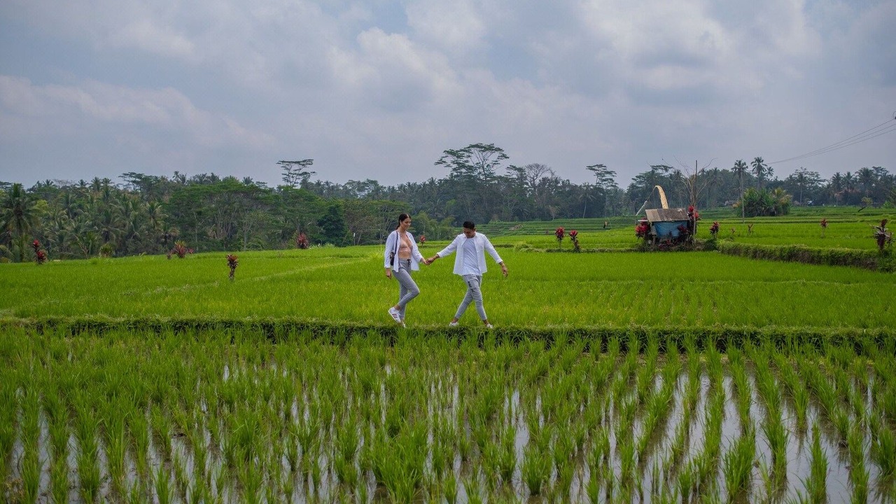 Photo of Others in Kedewatan