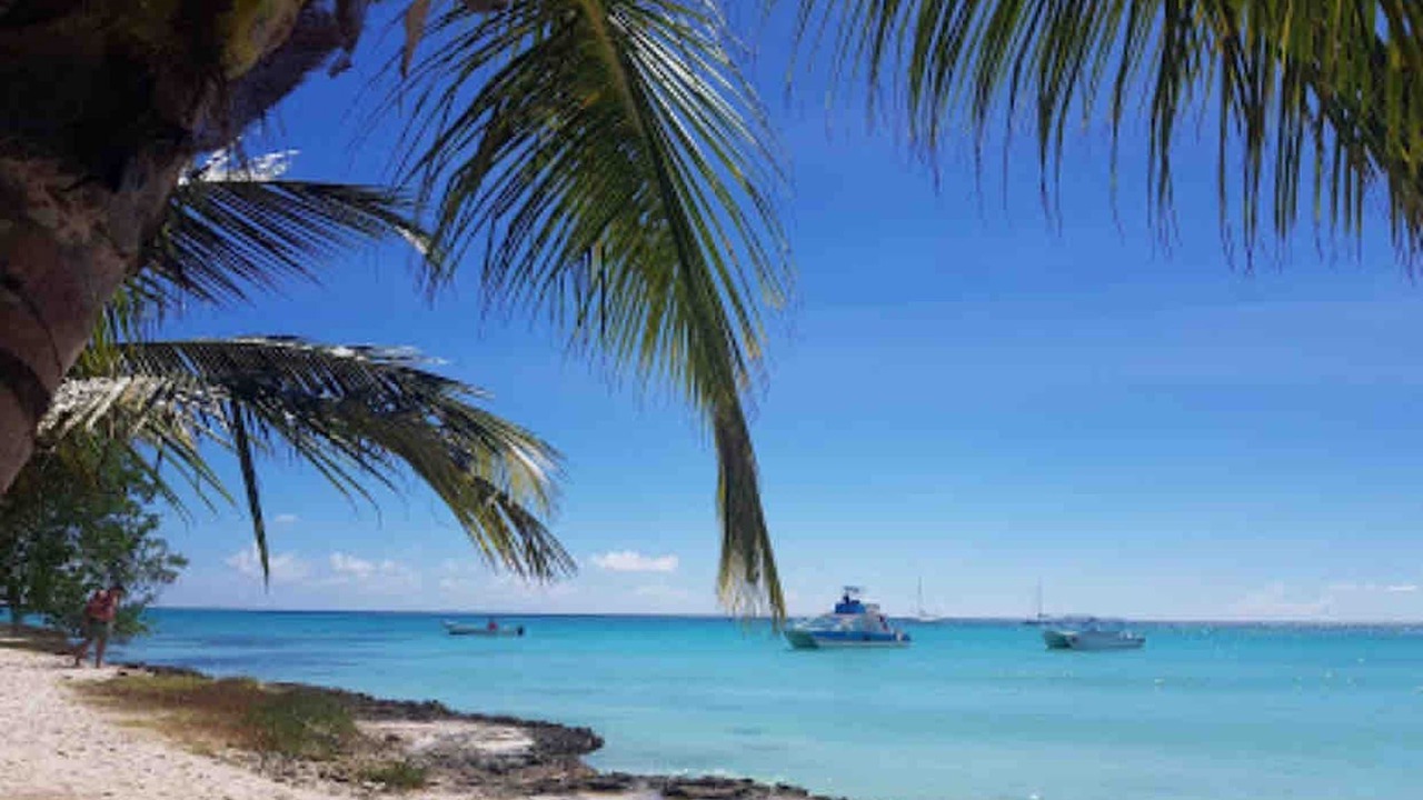 Photo of Outdoor in Guaricano