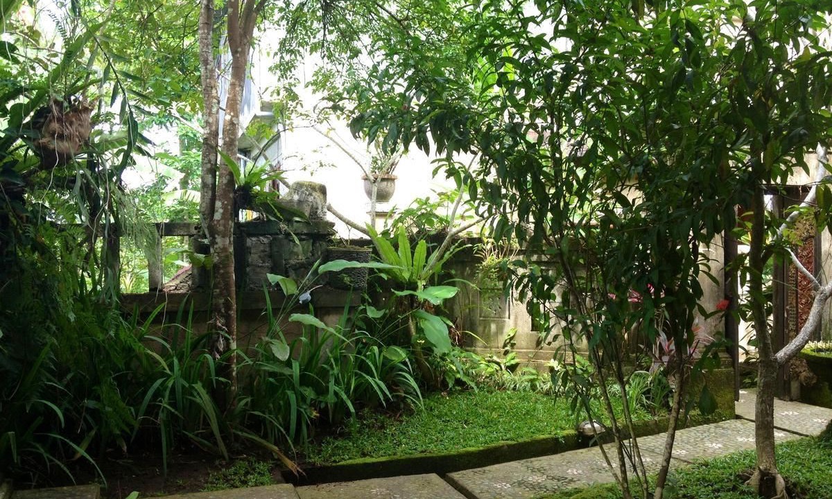 Photo of Others in Ubud