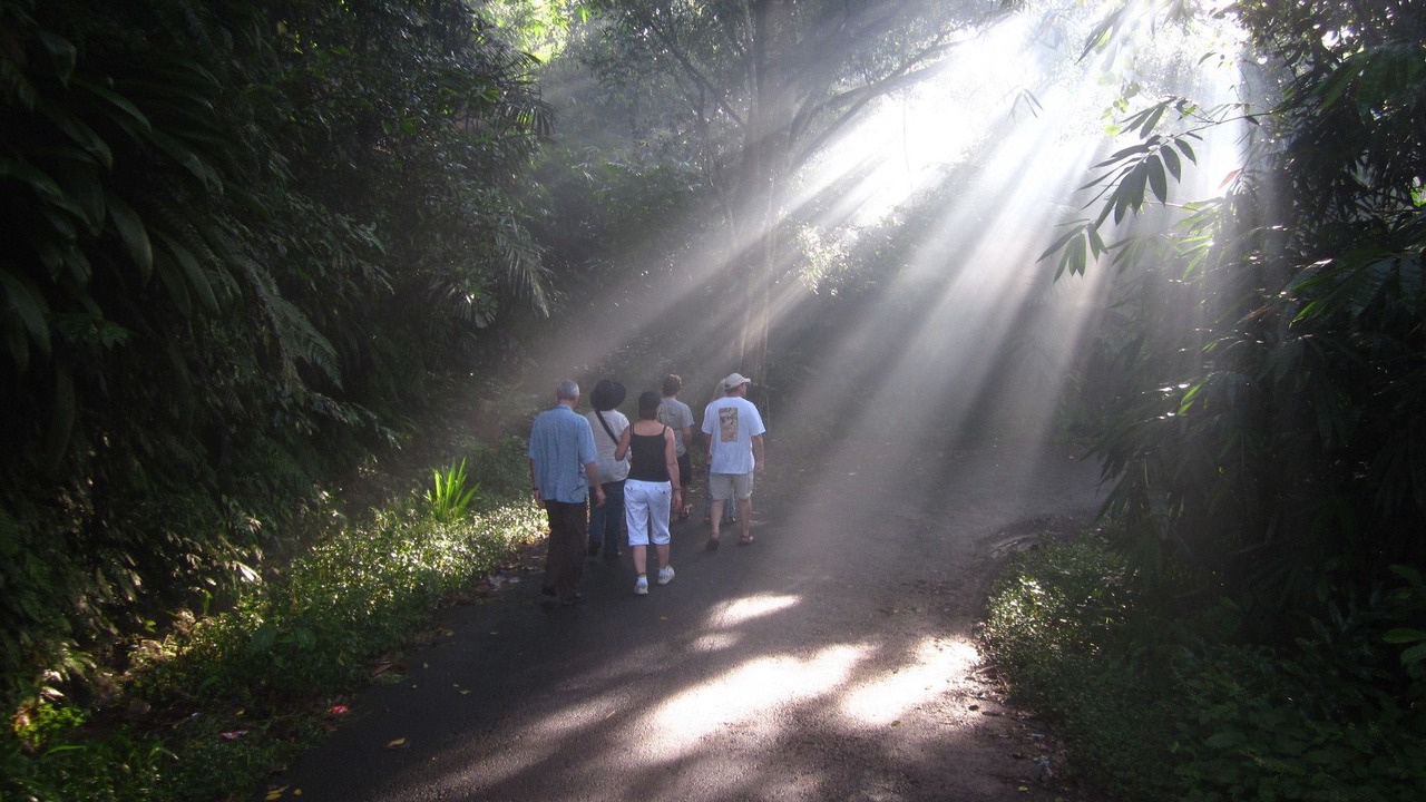 Photo of Others in Pengosekan