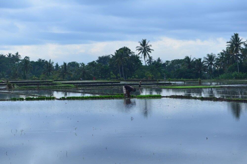 Photo of Outdoor in Tabanan