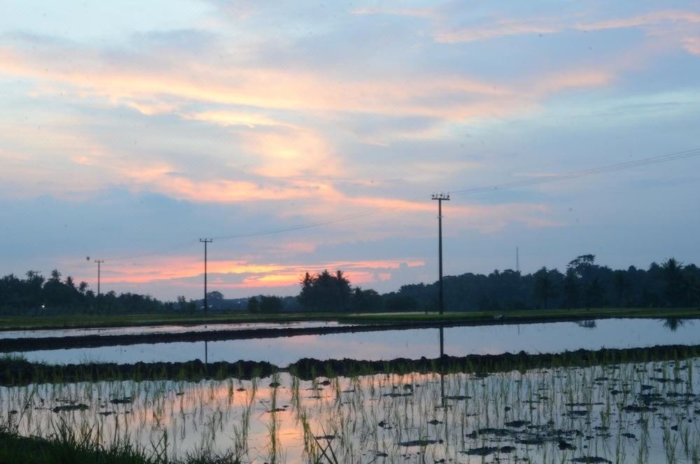 Photo of Outdoor in Tabanan