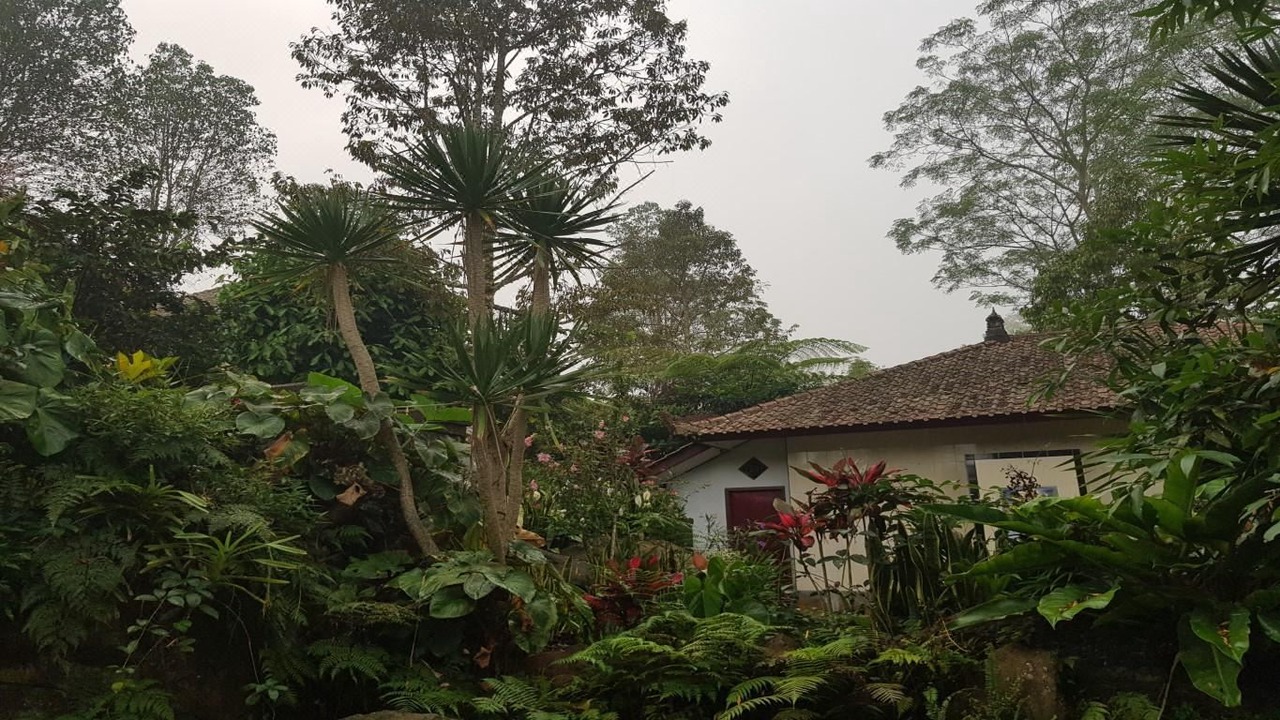 Photo of Buildings in Pupuan