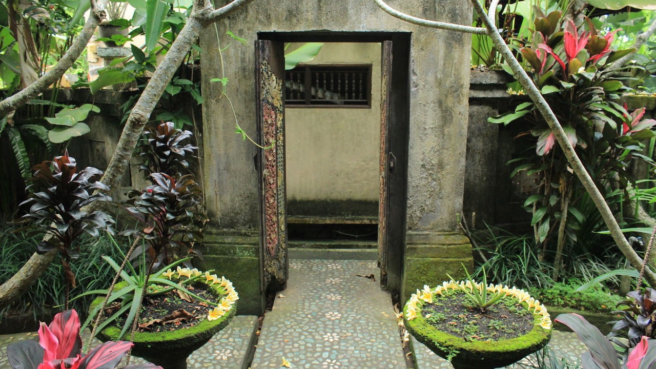 Photo of Others in Ubud