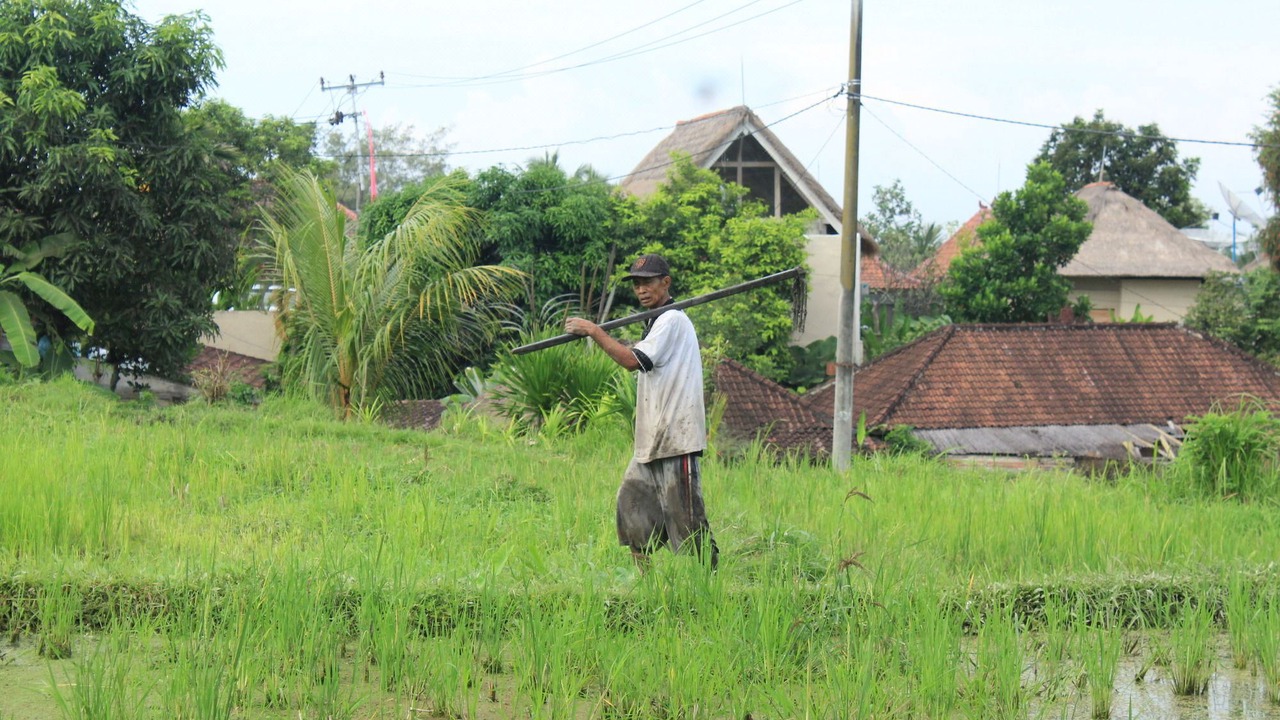Photo of Others in Ubud