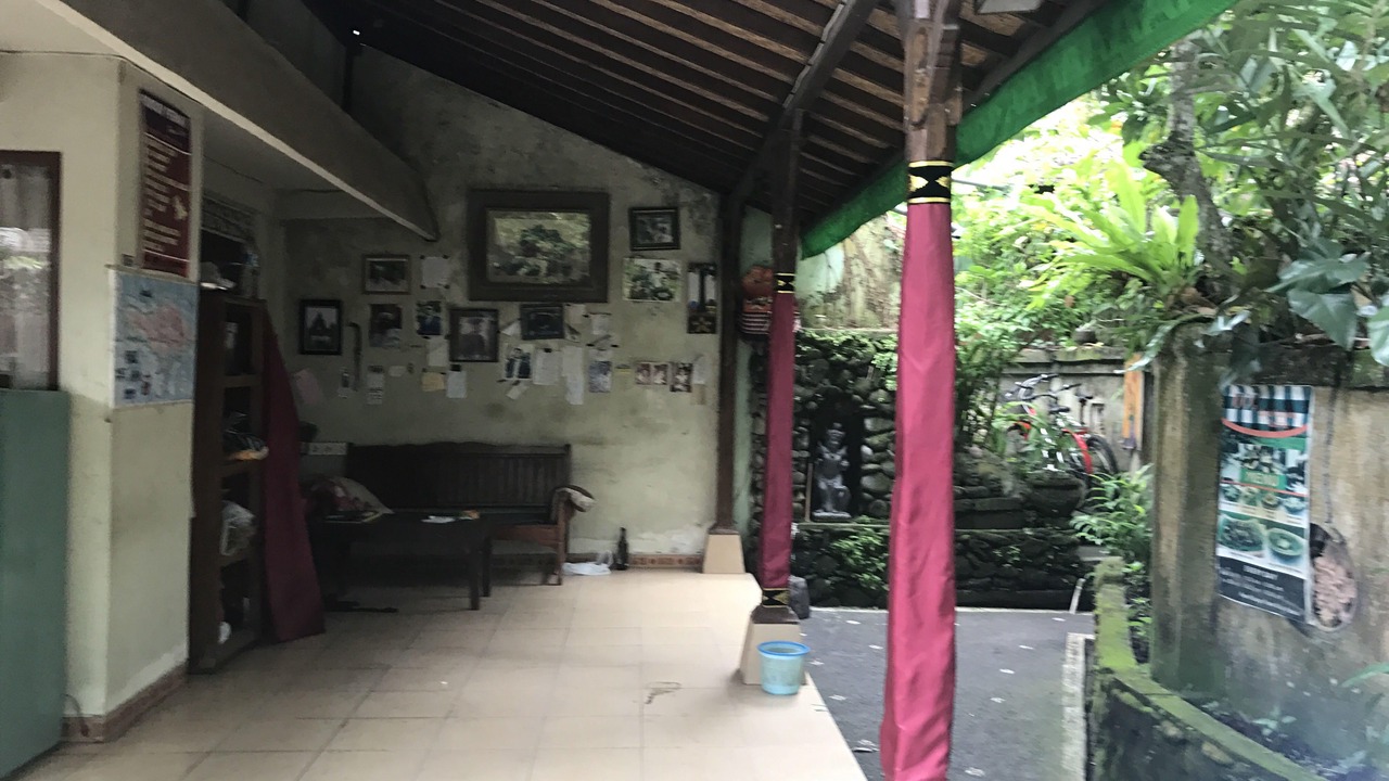 Photo of Others in Ubud