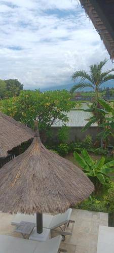 Photo of Others in Umeanyar