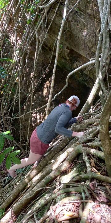 Photo of Others in Taveuni Island East