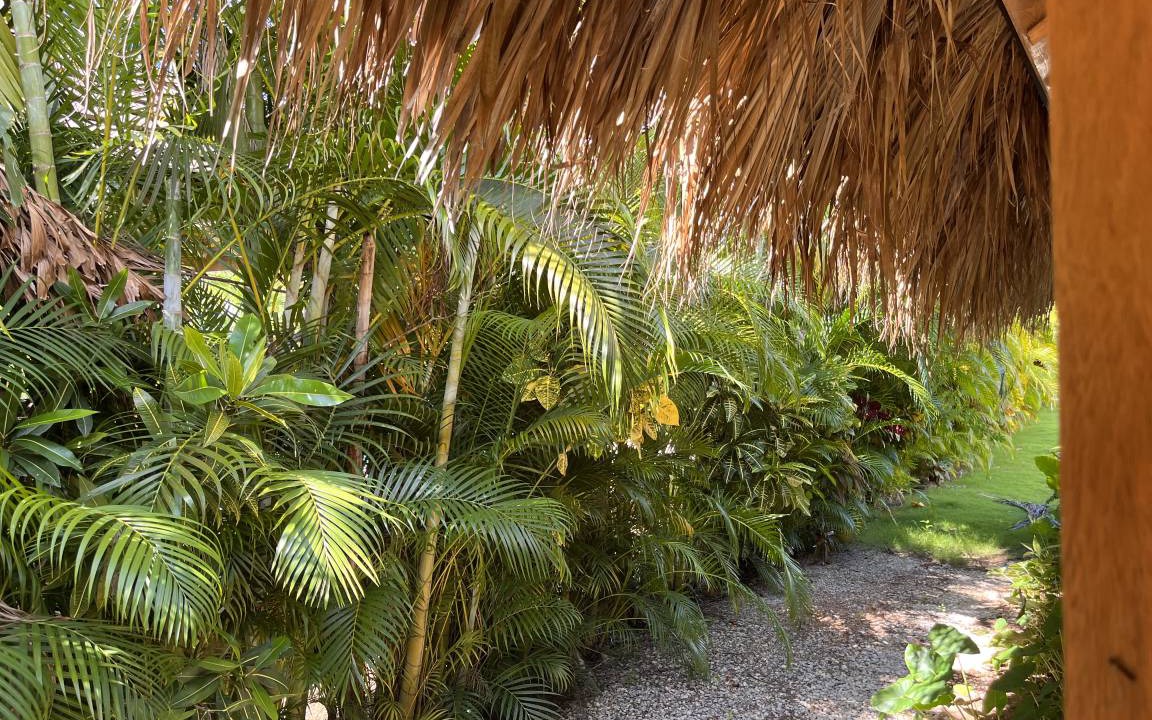 Photo of Others in Las Terrenas