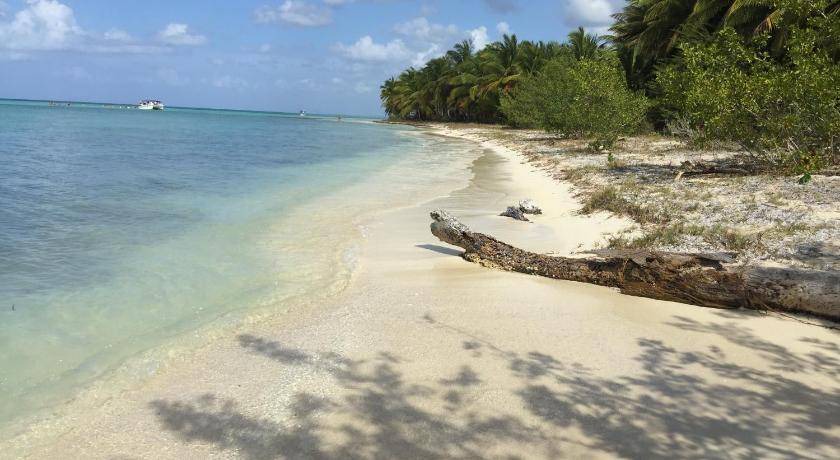 Photo of Others in Dominicus