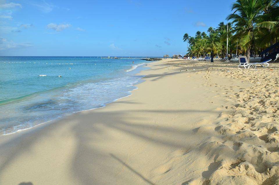 Photo of Others in Dominicus