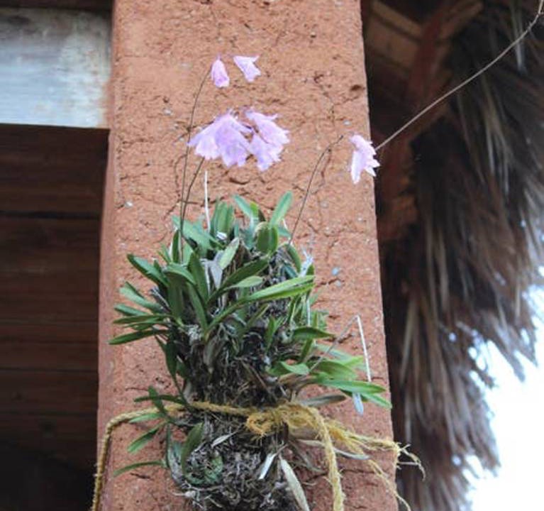 Photo of Others in Las Galeras