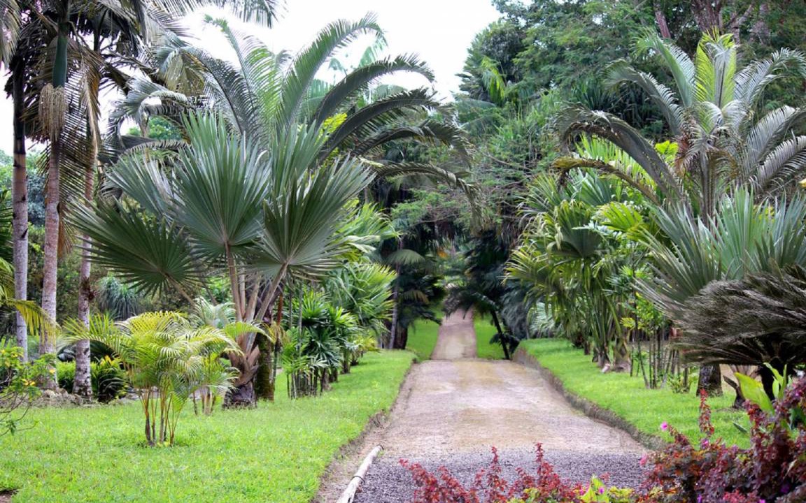Photo of Outdoor in Corales del Sur