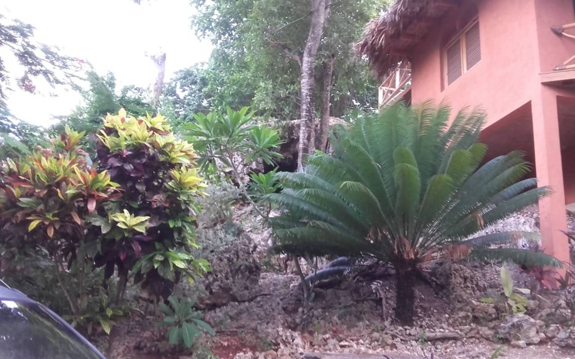 Photo of Others in Las Galeras