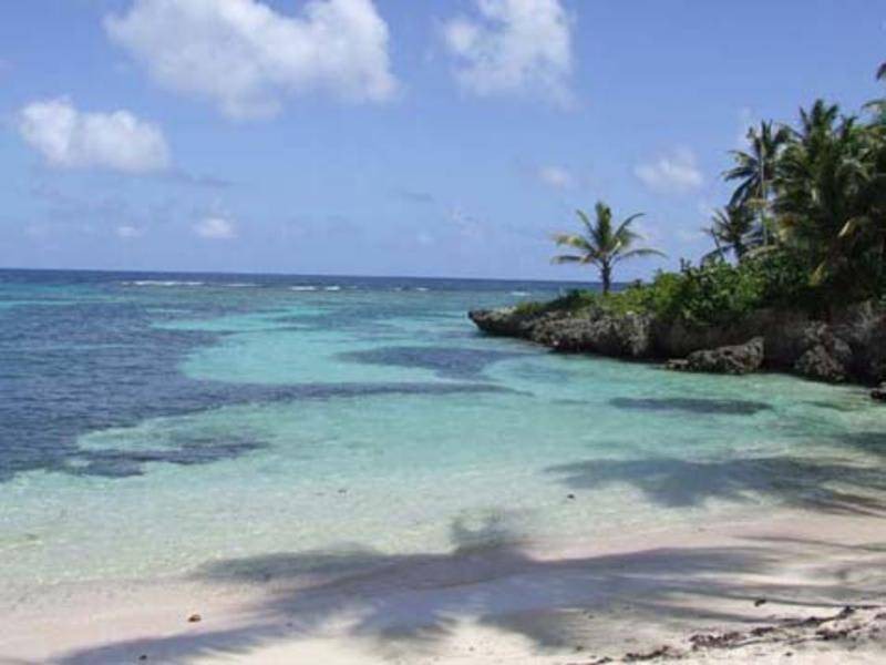 Photo of Others in Las Galeras
