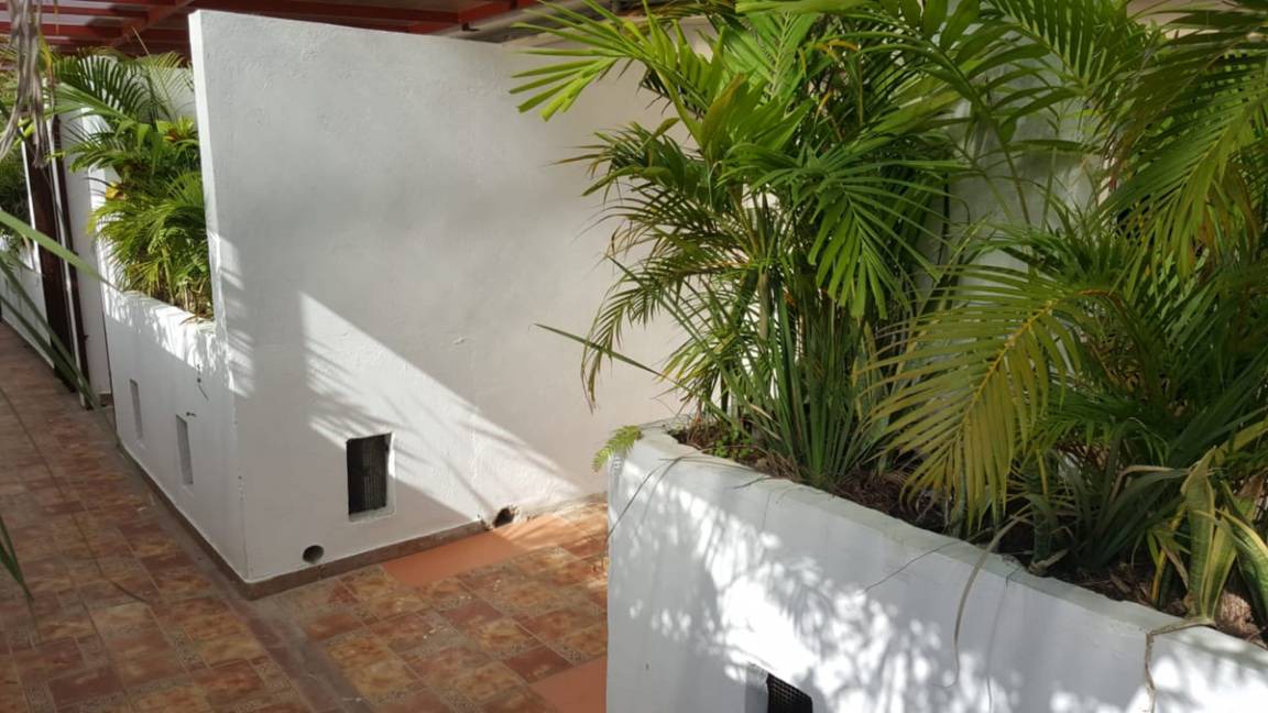 Photo of Others in Renacimiento