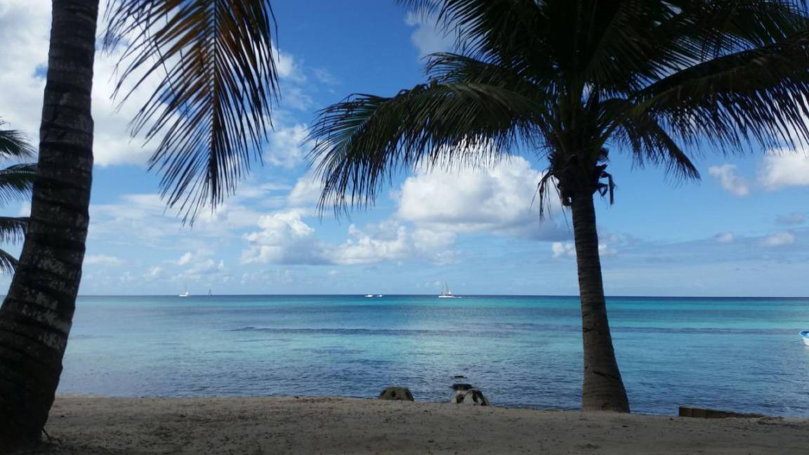 Photo of Others in Dominicus