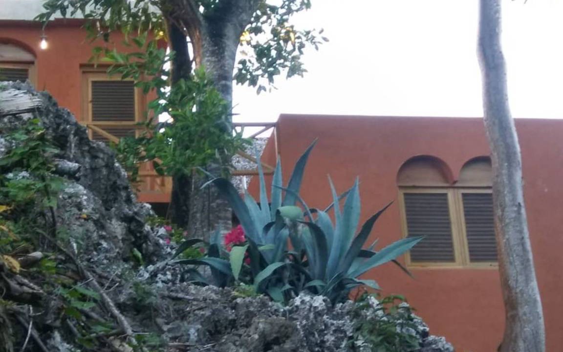 Photo of Others in Las Galeras