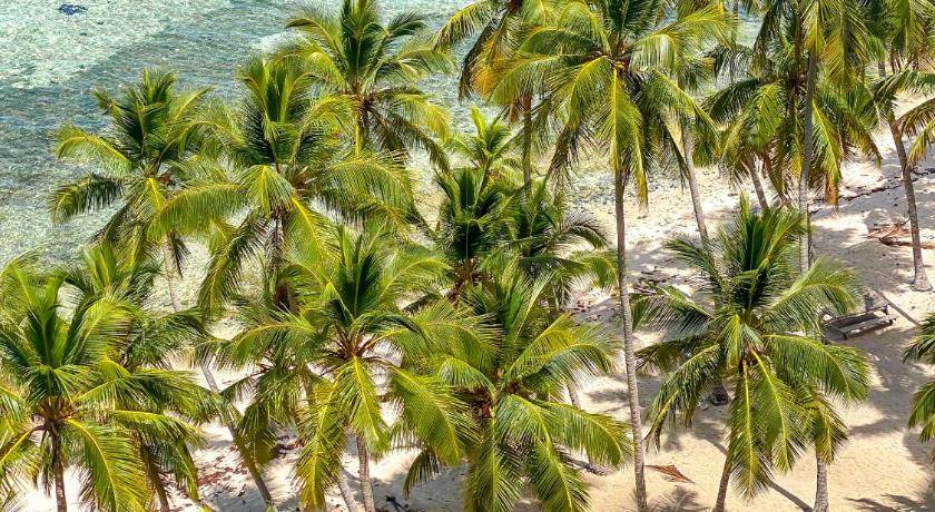 Photo of Others in Puerto Bahia