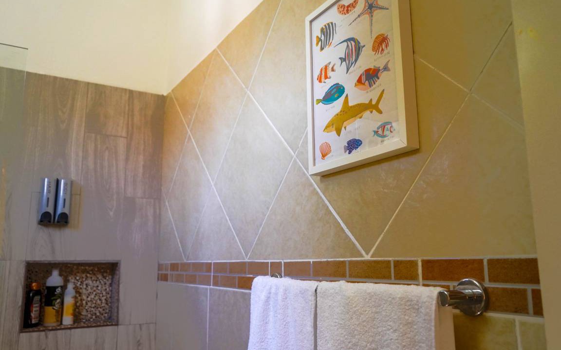 Photo of Bathroom in Playa Bibijagua