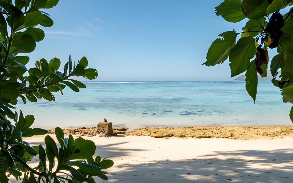 Photo of Others in Anse Royale