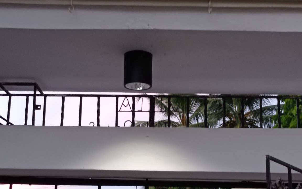 Photo of Others in Boca Chica