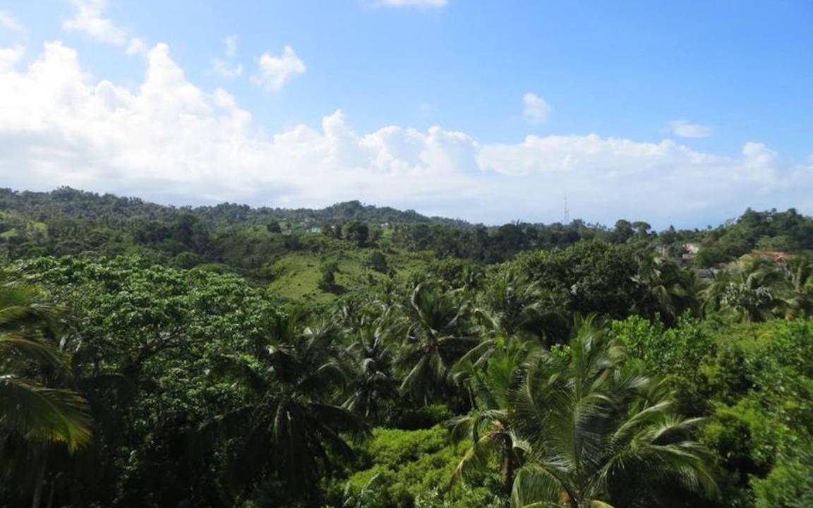 Photo of Others in Samana