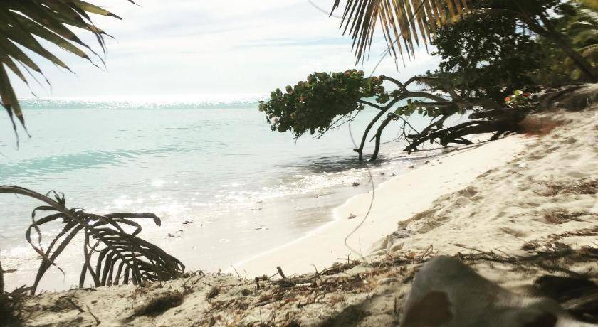 Photo of Others in Dominicus