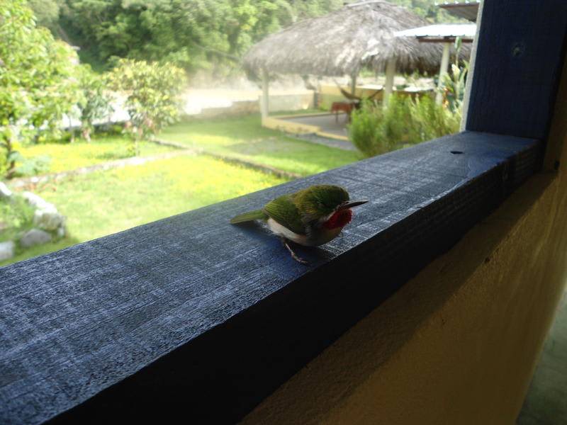 Photo of Others in Rancho Arriba