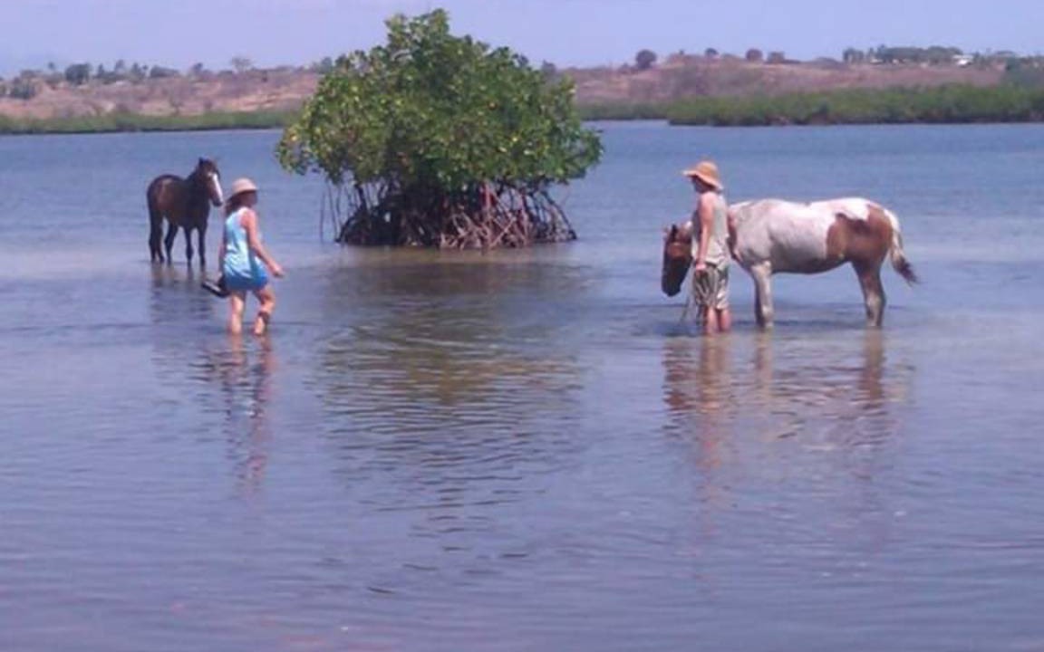 Photo of Others in Lautoka