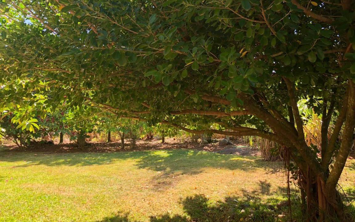 Photo of Outdoor in La Vega Province