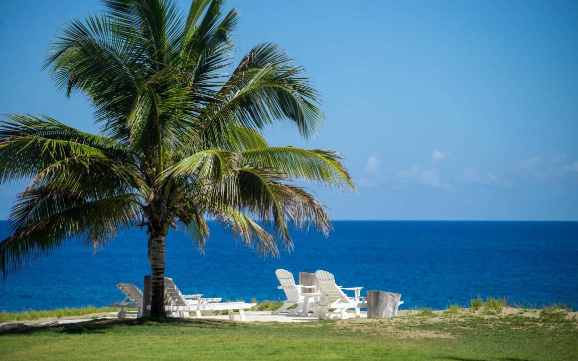 Photo of Others in Playa Chiquita