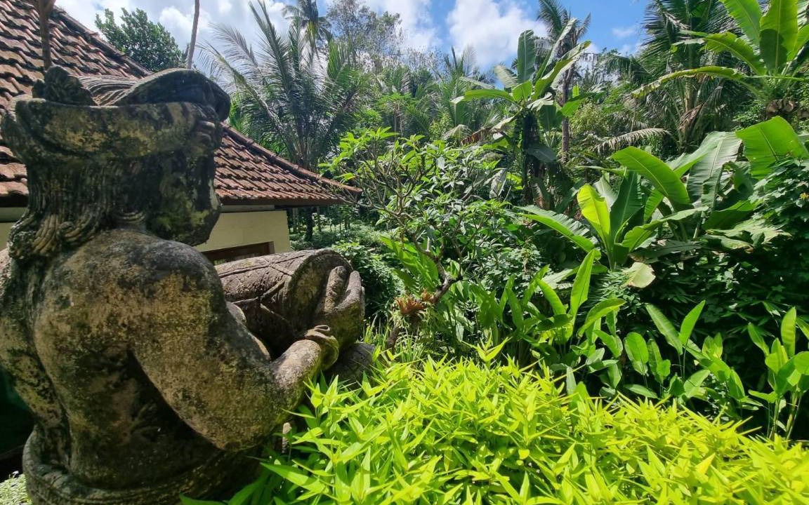 Photo of Others in Pejeng