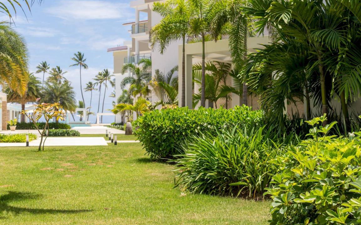 Photo of Others in Bavaro