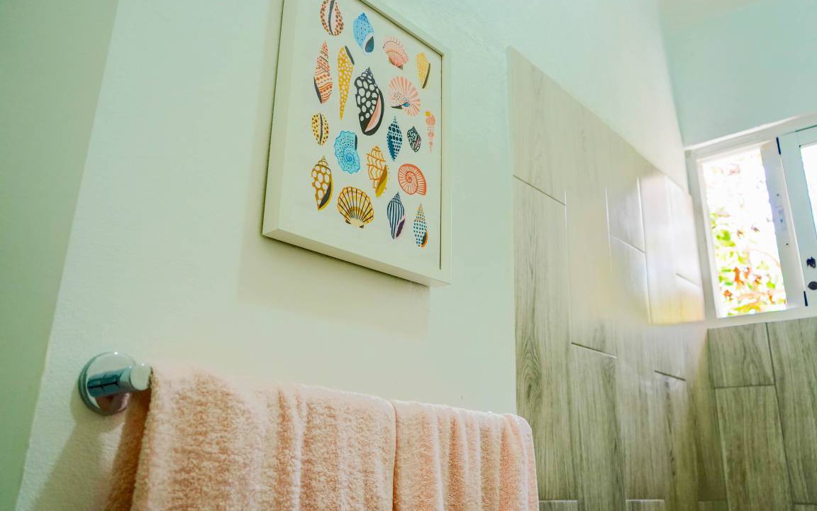 Photo of Bathroom in Playa Bibijagua