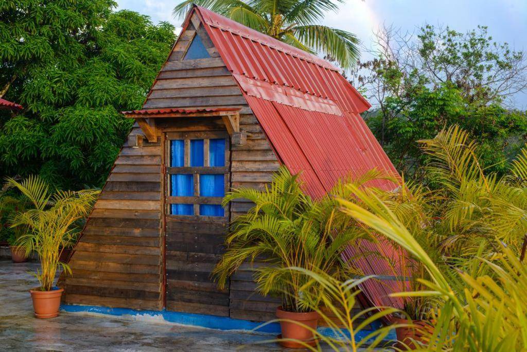 Photo of Buildings in Samana