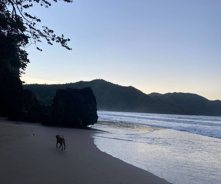 Photo of Others in Samana