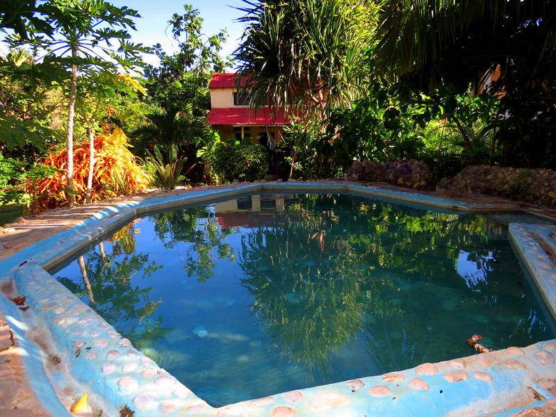 Photo of Others in Las Galeras