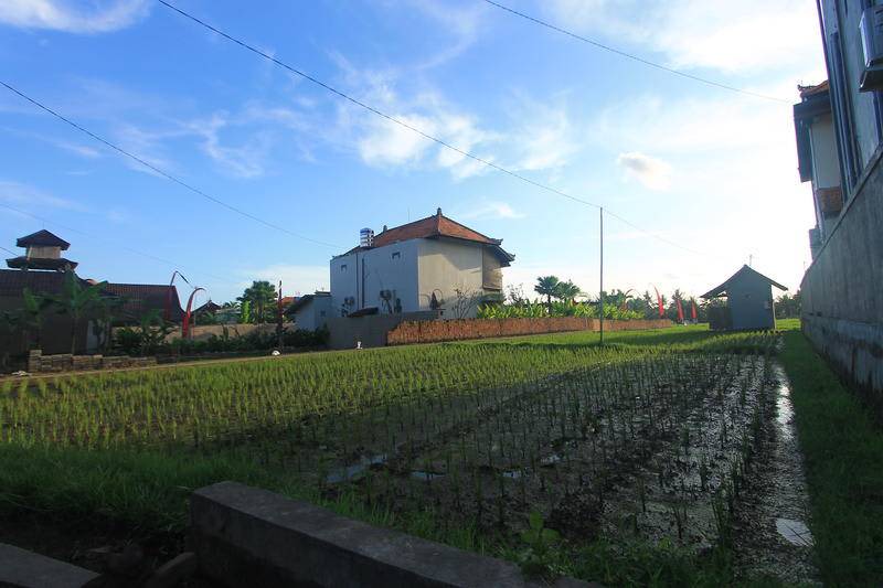 Photo of Others in Pengosekan