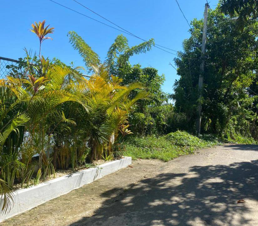 Photo of Others in Samana