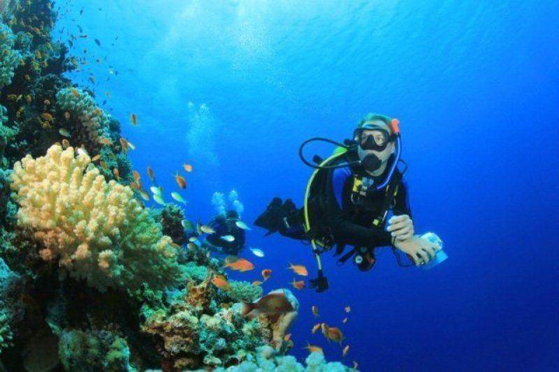 Photo of Human In Picture in Dominicus