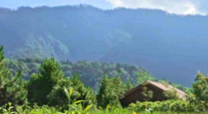 Photo of Others in Candikuning