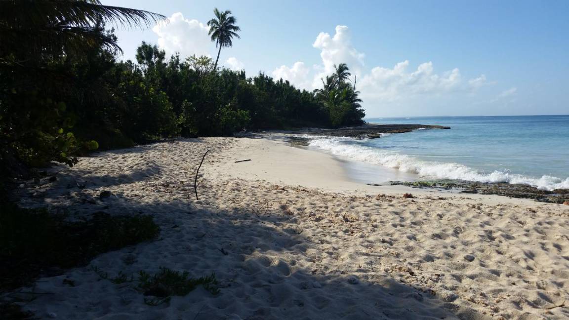 Photo of Others in Dominicus